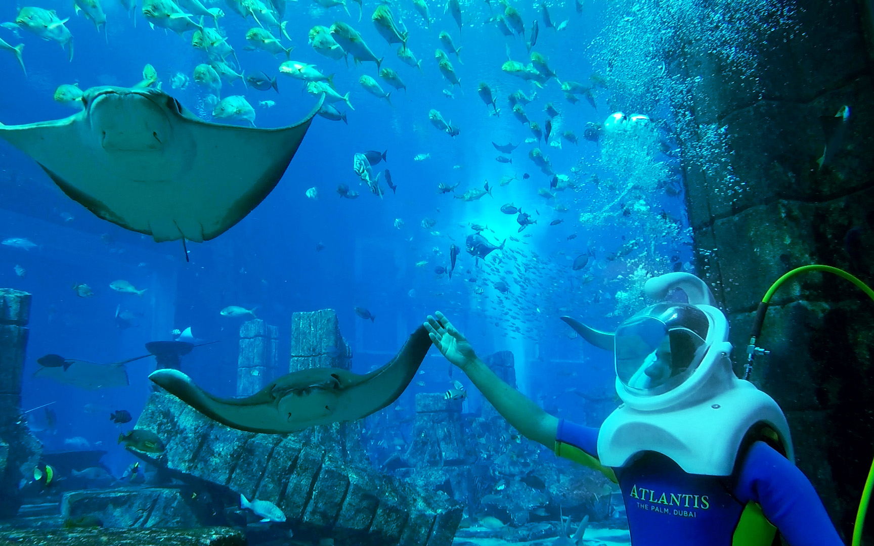 Aqua Trek Experiences At Atlantis The Palm Hotelier Middle East