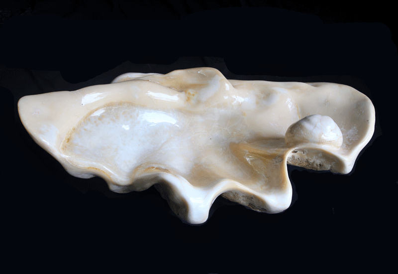 Bespoke Home - Giant Clam Shell