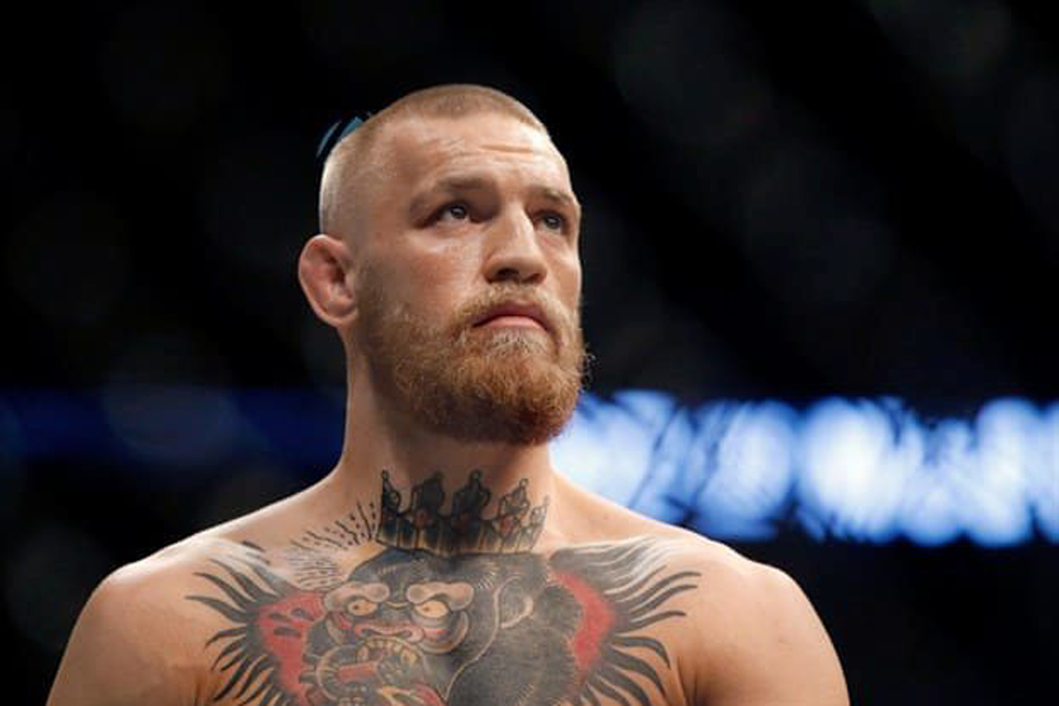 Conor McGregor coming to Abu Dhabi for next UFC Fight Island Hotelier