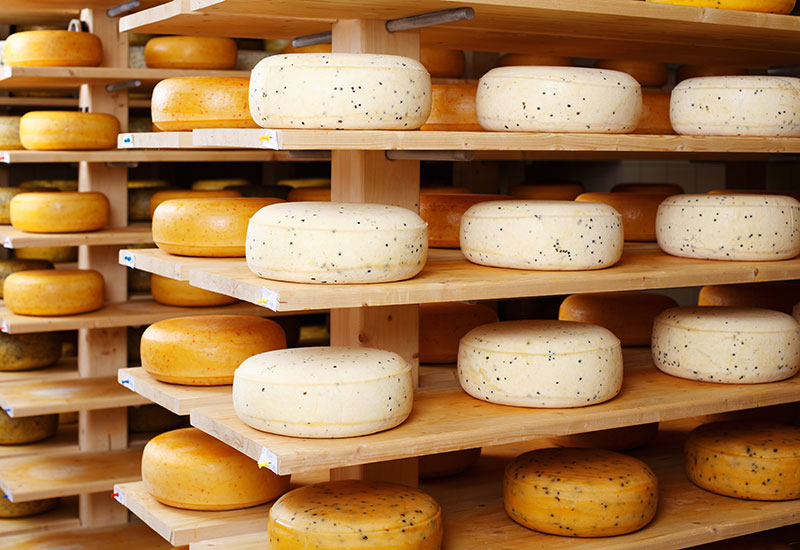 The basics of storing cheese