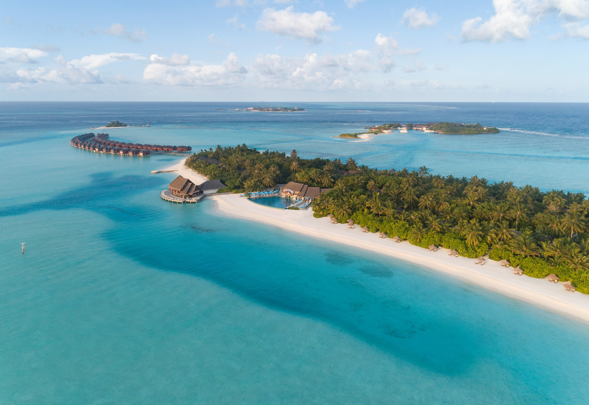 Coral makes a comeback at Anantara Maldives - Hotelier Middle East